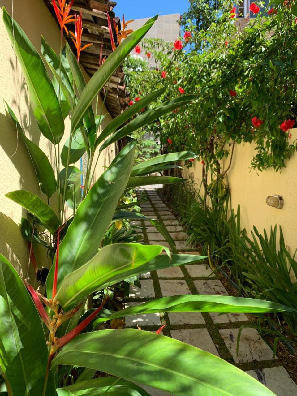 Chales Pulo Do Gato Canoa Quebrada Exterior photo